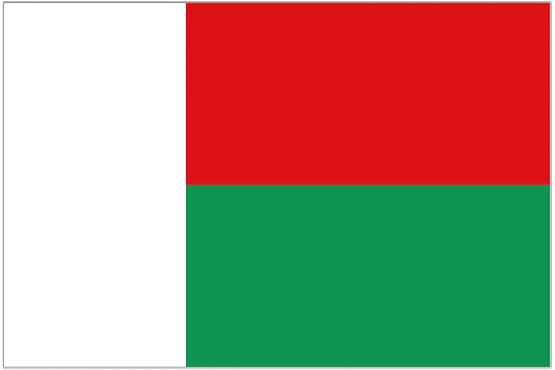 马达加斯加BSC单据介绍